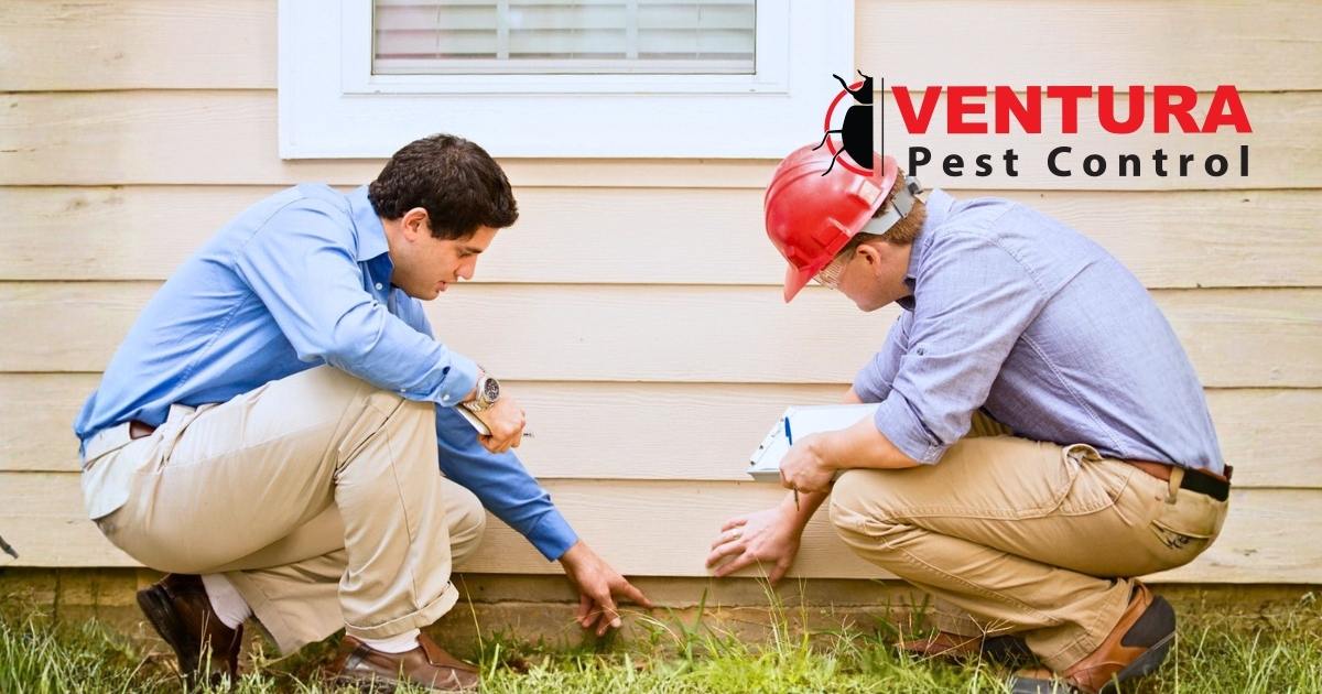 What a WDI Inspection Covers and Why It Matters in Ventura County